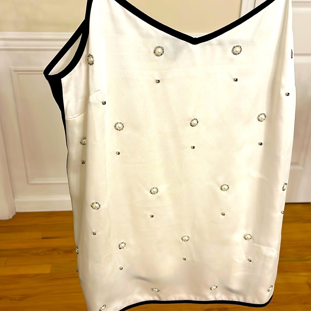 Ann Taylor silky top